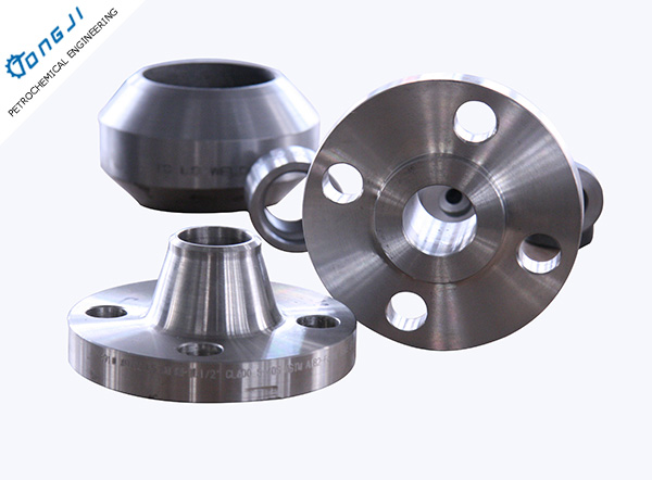 Titanium Flanges